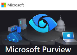 Image for blog article MS Purview : One-Stop-Shop for data governance across your data estate